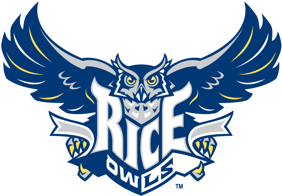 Rice Owls 2003-2009 Primary Logo DIY iron on transfer (heat transfer)